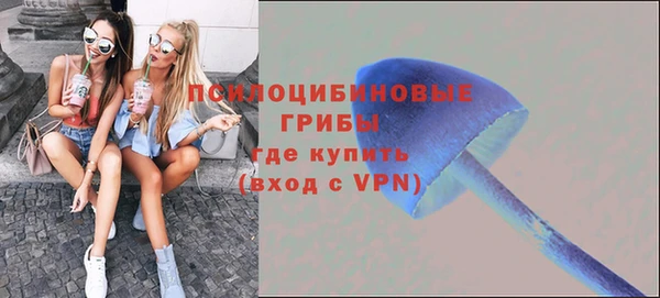 spice Алексин