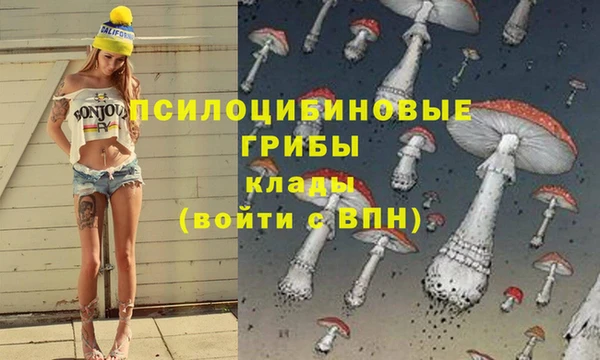 ALPHA-PVP Алексеевка